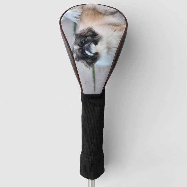 Shih Tzu Golf Headcover (Vorderseite)