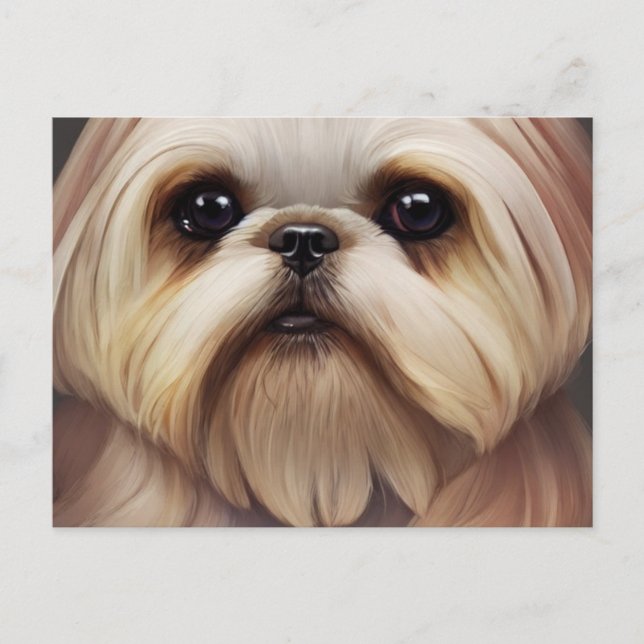 Shih Tzu Greetings Postcard Postkarte (Vorderseite)