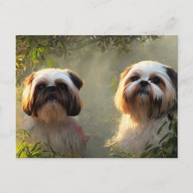 Shih Tzu Greetings Postcard Postkarte (Vorderseite)