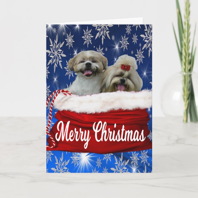 Shih tzu Grußkarte Weihnachten (Vorderseite)