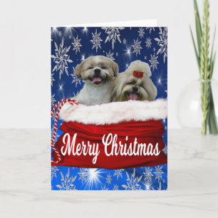 Shih tzu Grußkarte Weihnachten