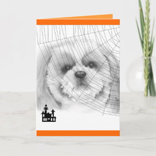 Shih Tzu Halloween Card Karte