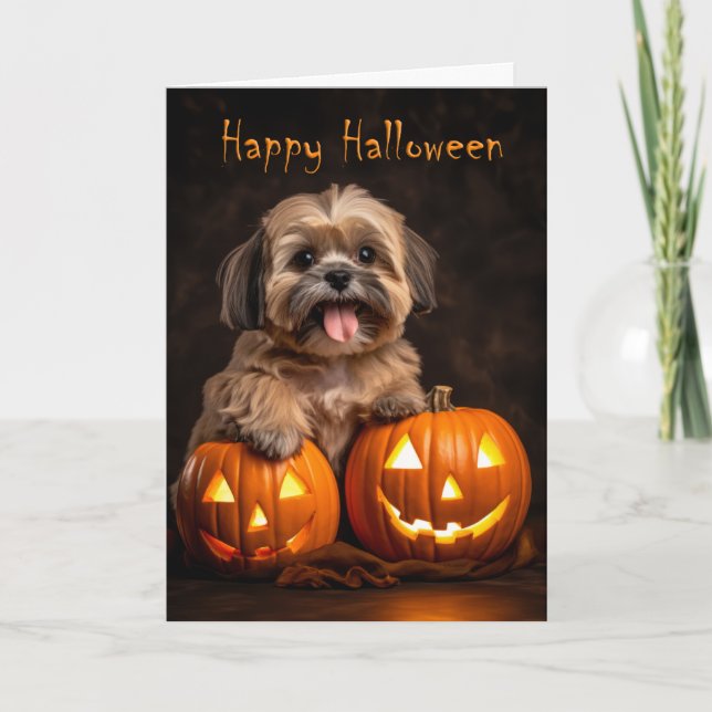 Shih Tzu Halloween Karte (Vorderseite)