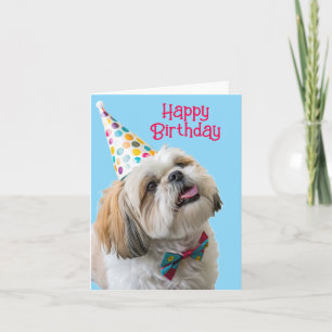 Shih Tzu Happy Birthday Karte