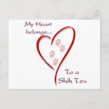 Shih Tzu Heart Belongs