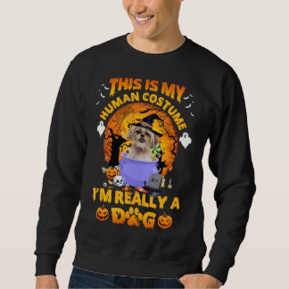Shih Tzu Hexenhuch Halloween Kostümpumkin-Hund Sweatshirt