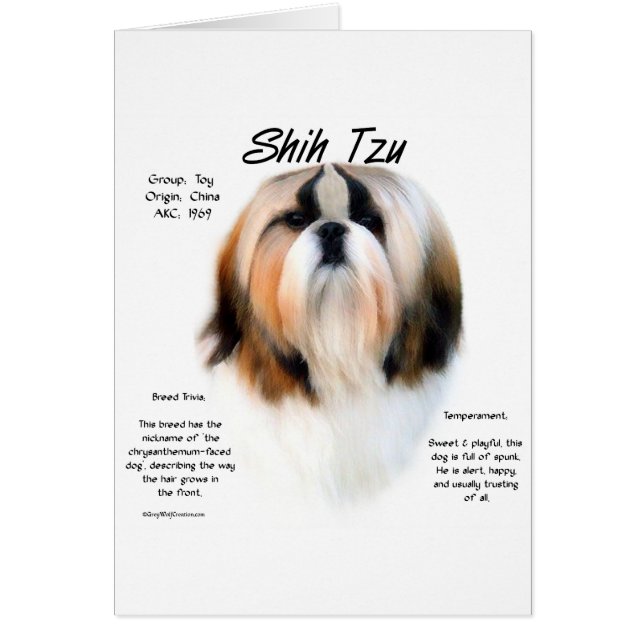 Shih Tzu History Design (Vorne)