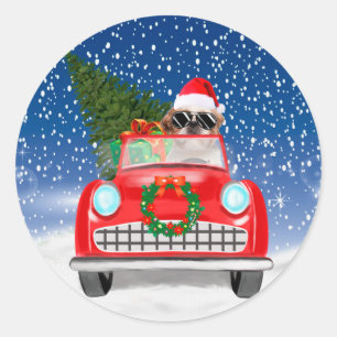 Shih Tzu Hund fährt Auto im Schnee Weihnachten Runder Aufkleber