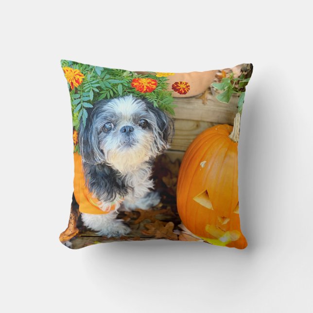 Shih Tzu Hund großes Accessoires Kissen (Vorderseite)