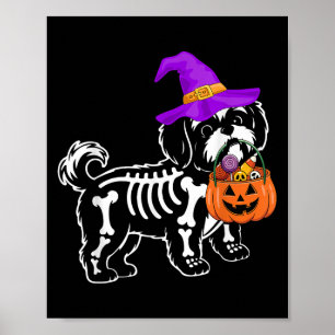 Shih Tzu Hund Halloween Soky Skeleton Trick or Tre Poster