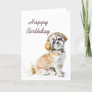 Shih Tzu Hund Hund Happy Birthday Card Karte