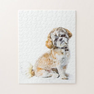 Shih Tzu Hund Jigsaw Puzzle