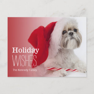Shih Tzu Hund mit einem Weihnachtshut Feiertagspostkarte