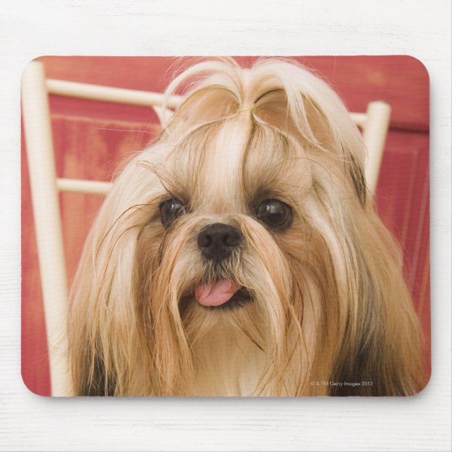 Shih-tzu-Hund Mousepad (Vorne)
