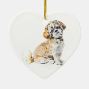 Shih Tzu Hund Ornament