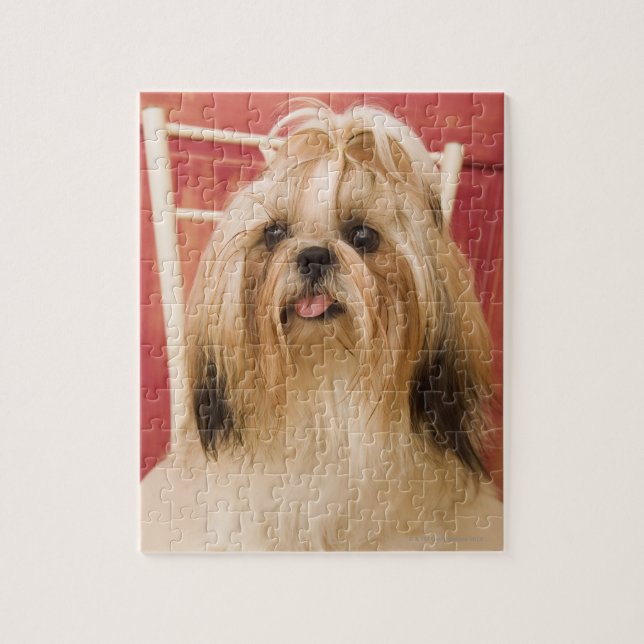 Shih-tzu-Hund Puzzle (Vertikal)