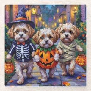 Shih Tzu Hunde beim Trick-or-Treat an Halloween-Ko Glasuntersetzer