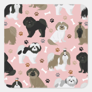 Shih Tzu Hunde Paws and Bones Square Sticker