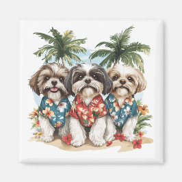 Shih Tzu Hunde tragen hawaiianische Shirts Magnet