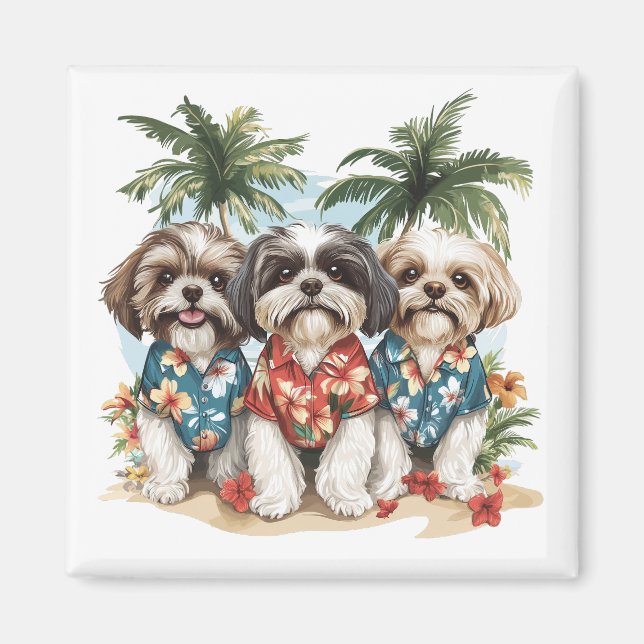 Shih Tzu Hunde tragen hawaiianische Shirts Magnet (Vorne)