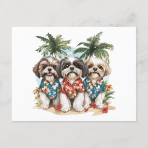 Shih Tzu Hunde tragen hawaiianische Shirts Postkarte