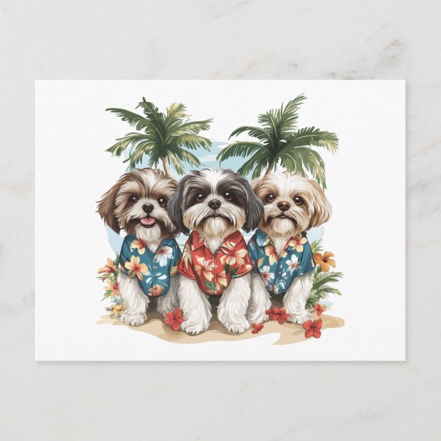 Shih Tzu Hunde tragen hawaiianische Shirts Postkarte (Vorderseite)
