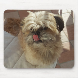Shih-Tzu-Hundemousepad Mousepad
