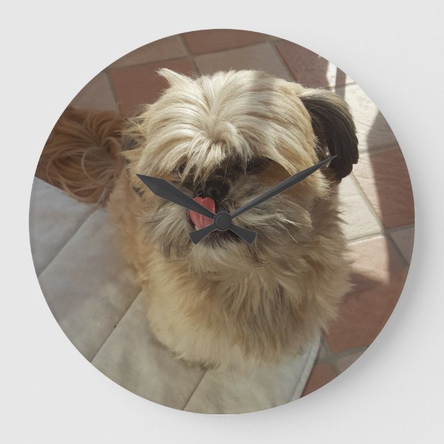 Shih Tzu Hundeuhr Große Wanduhr (Vorderseite)