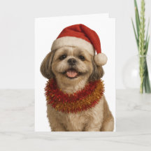Shih Tzu in a Santa hat Christmas card