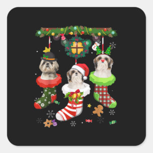 Shih Tzu in Socks Weihnachtsbeleuchtung Weihnachts Quadratischer Aufkleber