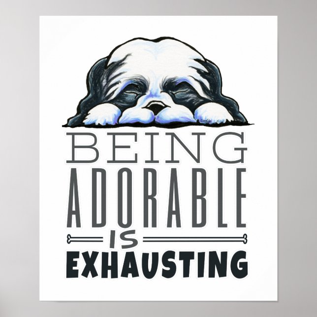 Shih Tzu ist bewundernswert Poster (Vorne)