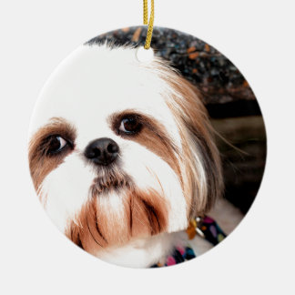 Shih Tzu Keramik Ornament
