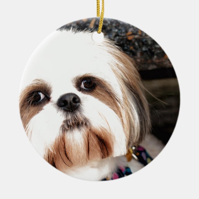Shih Tzu Keramik Ornament (Vorne)