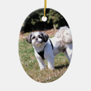 Shih Tzu Keramik Ornament