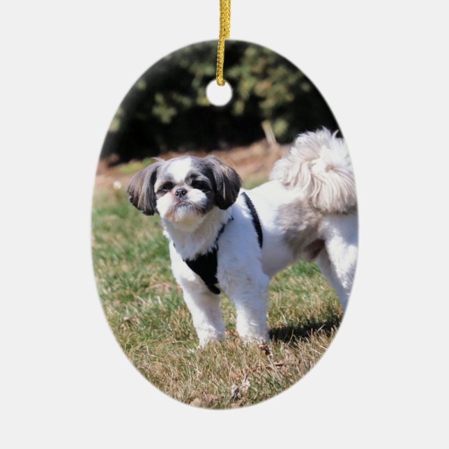 Shih Tzu Keramik Ornament (Vorne)