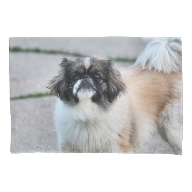 Shih Tzu Kissenbezug (Vorderseite)