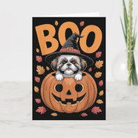 Shih Tzu Kostüm auf Kürbis Halloween Shih Tzu