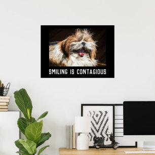 Shih Tzu lachendes Lächeln benutzerdefinierter Fot Poster