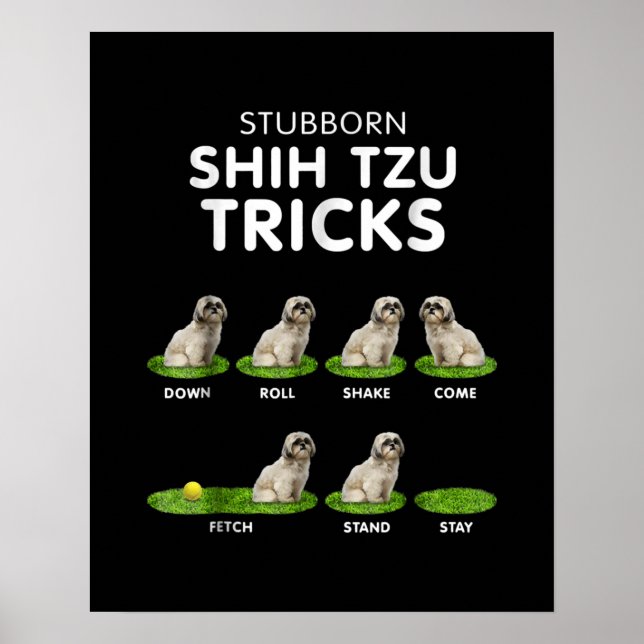 Shih Tzu Lover | Funny Shih Tzu Trick Dog Liebe Poster (Vorne)