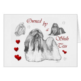 Shih Tzu Lovers Geschenke