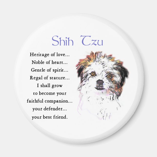 Shih Tzu Lovers Geschenke Magnet (Vorne)