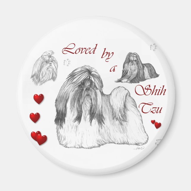 Shih Tzu Lovers Geschenke Magnet (Vorne)