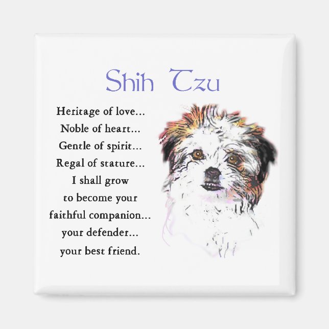 Shih Tzu Lovers Geschenke Magnet (Vorne)