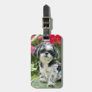 Shih Tzu Mädchen Gepäckanhänger
