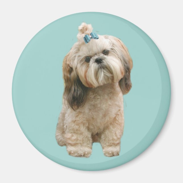 Shih Tzu Magnet (Vorne)
