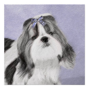 Shih Tzu Malerei - Süße originelle Hundekunst Poster