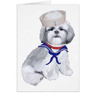 Shih Tzu Matrose