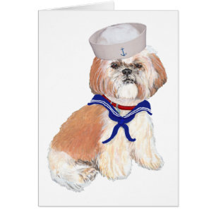 Shih Tzu Matrose