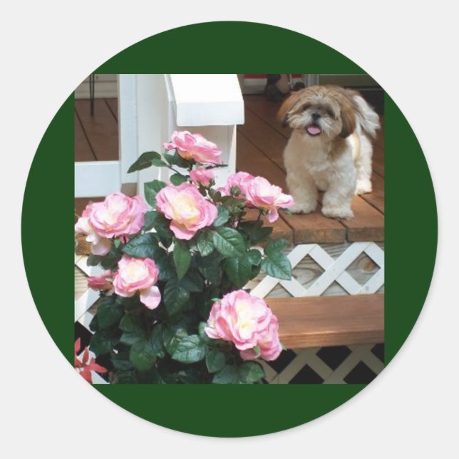 Shih Tzu mit Frühlingsblumen Runder Aufkleber (Vorderseite)