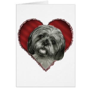 Shih Tzu mit Herzen